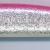 Silver Glitter Pink
GSG-36