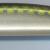 Tennessee Shad
G-18