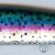 Holo Rainbow Trout
GH-26