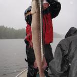 Victor Piirto-Eagle Lake, Ontario